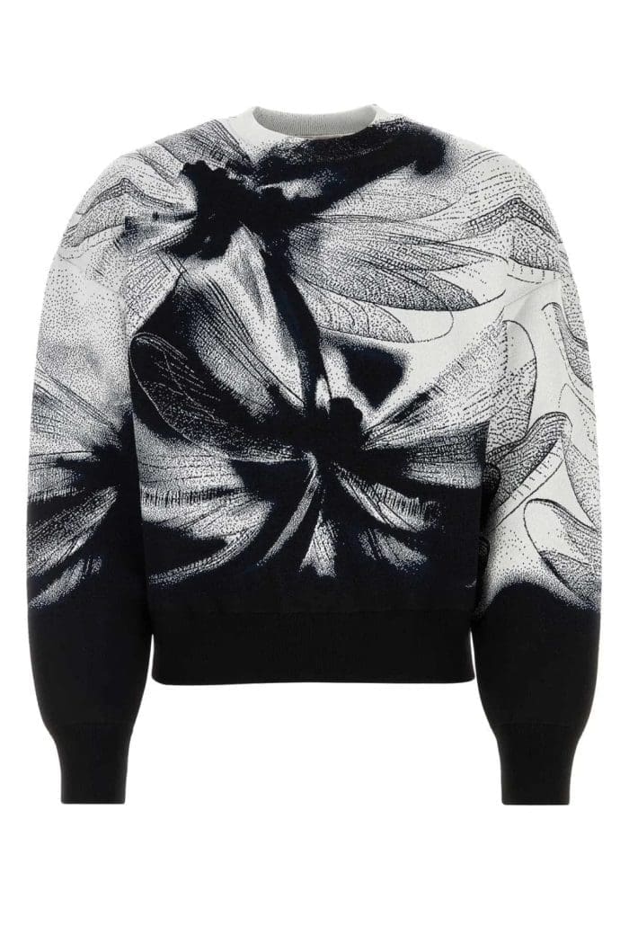 Alexander McQueen Graphic Printed Crewneck Sweater